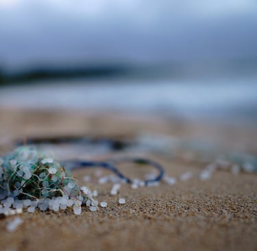 Invisible Invaders: How Microplastics Are Silently Poisoning Our Food Chain