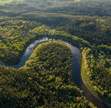 The Amazon Rainforest: Nature’s Beating Heart in Peril — Why Its Survival Determines Our Planet’s Fu