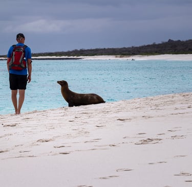 solo traveler galapagos adventure immersive nature exploration