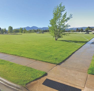 a grassy field with a tree and a small tree