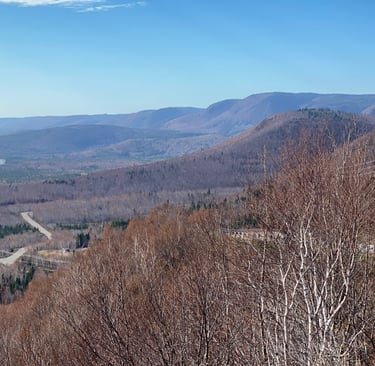winding road with mountain on side