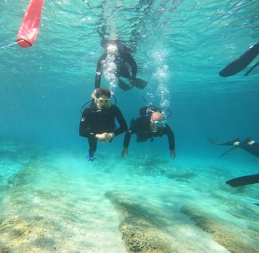 Scuba divers exploring clear blue tropical waters over a rocky seafloor with coral reefs.