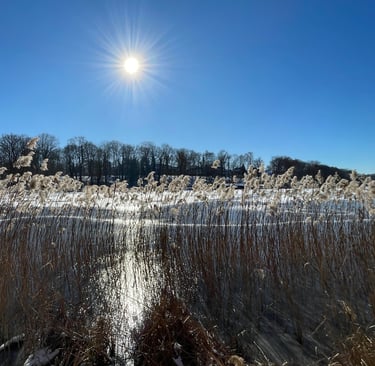 Werde still und du wirst sehen