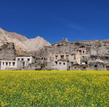 ladakh homestays sustaianble and responsible