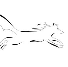 Illustration by Olivia Haughton for Monica Suswin's website on creative therapeutic writing