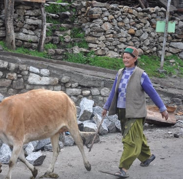 The people and places of Himachal Pradesh, India