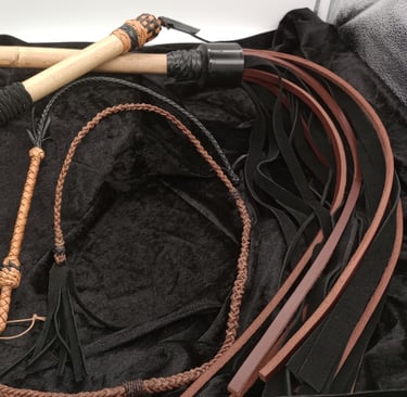 Three Piece Black and Tan Whip Set