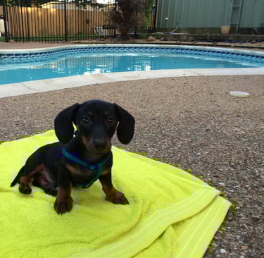 K-SCOOPS.com | Discovering the Scoop Life