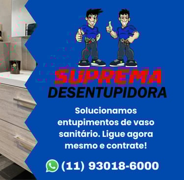 desentupimento de vaso