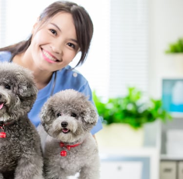 How to Choose the Best Veterinary CMS for Your Clinic in Malaysia