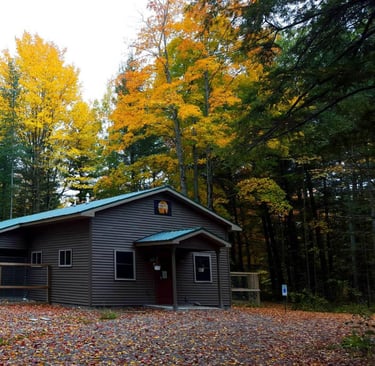 outside picture of boarding kennel in the fall with leaves changing