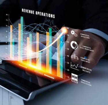 patrimoine, dissimulation de revenus, insolvabilité