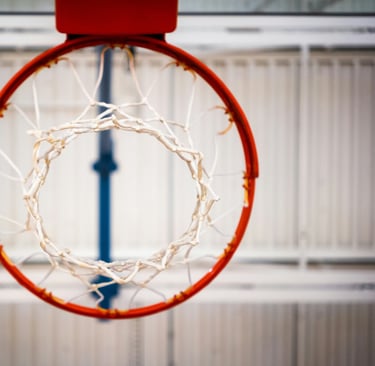 Aro de Baloncesto con malla