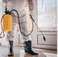 Insecticide
