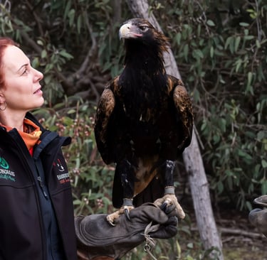 a woman holding a bird of prey in her hand