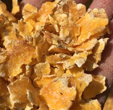 Corn Flaking feed