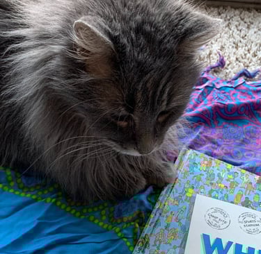 a longhaired grey cat sitting on a colorful scarf and looking at Where's Waldo books