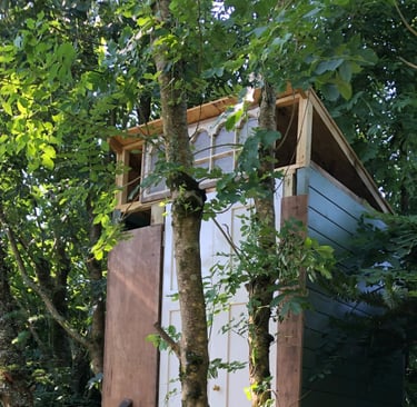 steps up to a wooden building housing a compost toilet