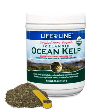 Life Line Pet Nutrition non-toxic USDA organic Icelandic ocean kelp dental powder for dogs.