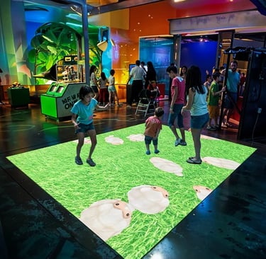 Interactive Floor Projection System