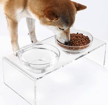 Elevated pet feeder with two glass bowls and two stainless steel bowls, non‑toxic and easy to clean