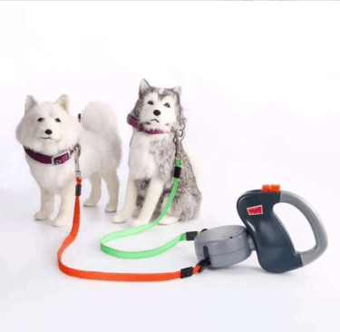 Dual Dog Leash