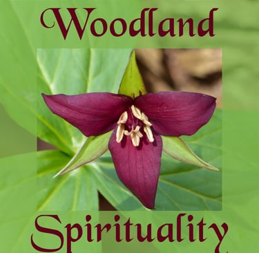 Woodland Spirituality logo, including a closeup of a red trillium flower with green leaves.