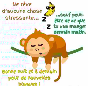 image bonne nuit a demain humour animaux