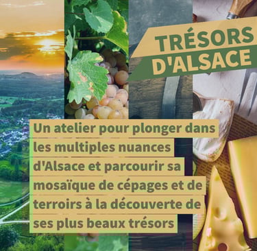 vins alsace cours oenologie lyon