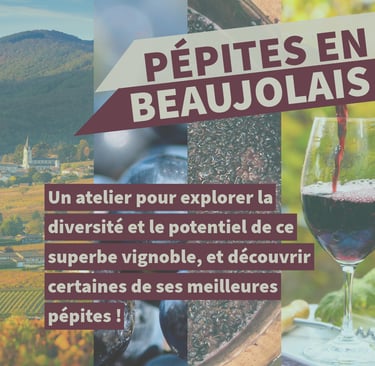 pépites en beaujolais cours oenologie lyon on veille au grain