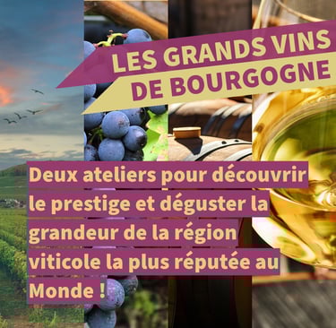 vins bourgogne cours oenologie lyon