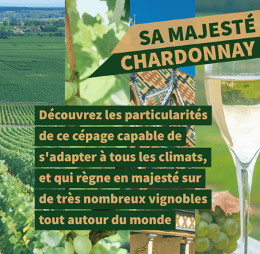 cours oenologie chardonnay bourgogne