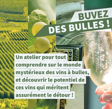 cours oenologie vins effervescents bulles champagne