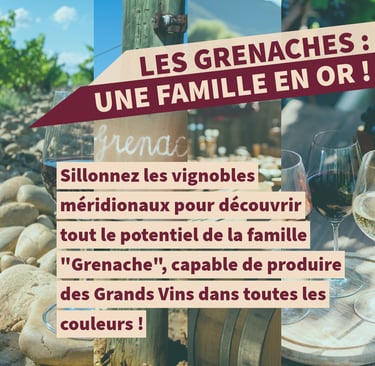 grenache cours d'oenologie lyon
