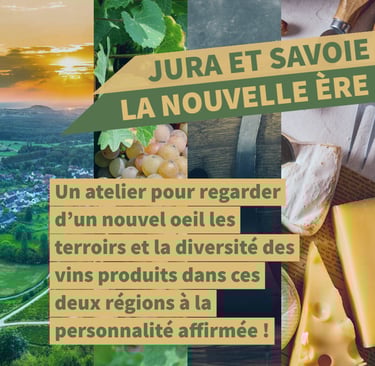 jura savoie vin cours oenologie lyon