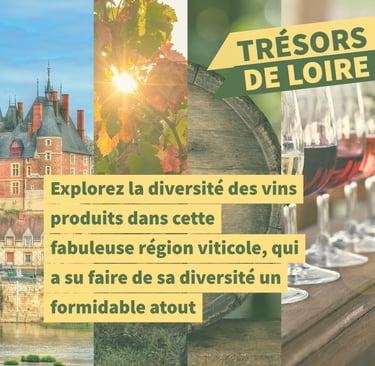 cours oenologie vallée de la loire