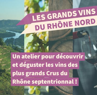 grands vins rhone nord cours oenologie dégustation lyon on veille au grain