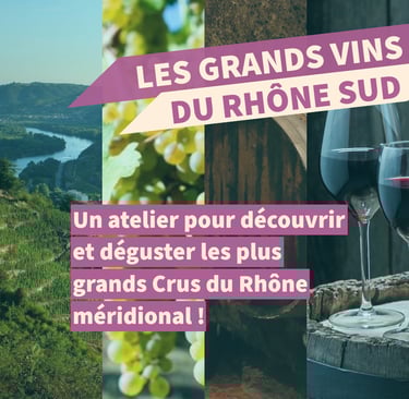 grands vins rhone sud cours oenologie dégustation lyon on veille au grain