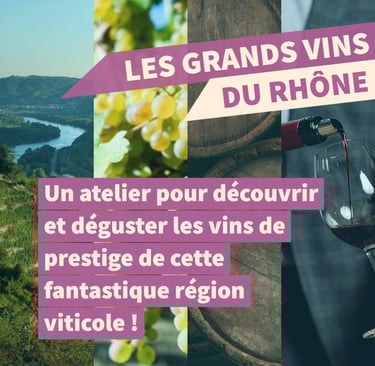 cours oenologie vallée du rhone