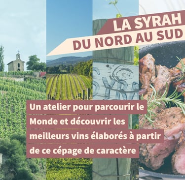 cours oenologie syrah rhone