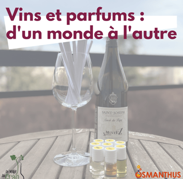 cours oenologie vins parfums