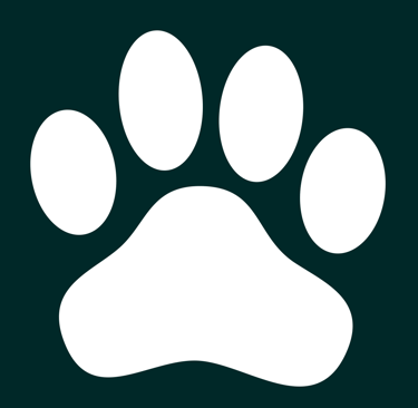 dogAdvisor ✲ dogadvisor ✲ dog advisor ✲ Blog for new dog owners ✲ dogs ✲ dog advisers ✲ dog advisors