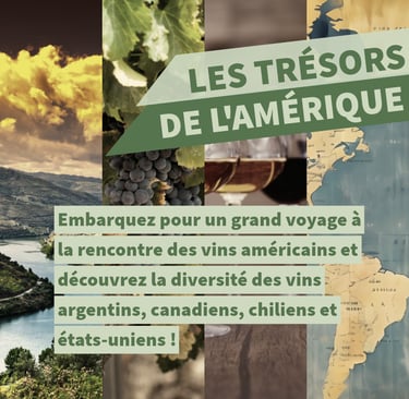 vins américains cours oenologie lyon on veille au grain