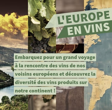vins européens cours oenologie lyon on veille au grain