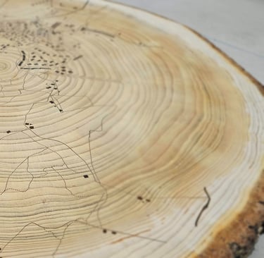a wooden slice of wood with a drawing of a tree stump