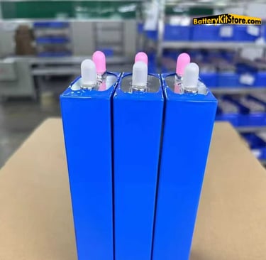 detail of LiFePO4 prismatic battery cells
