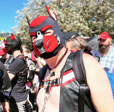 Man ina pup mask and lkeather vest mingles with a crowd outdoors.