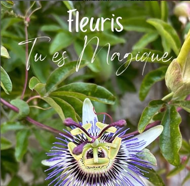 fleuris tu es magique : la voie du coeur par magie de la vie
