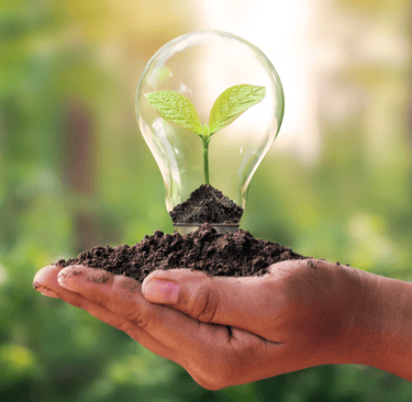 a person holding a light bulb sitting in soil in their hands