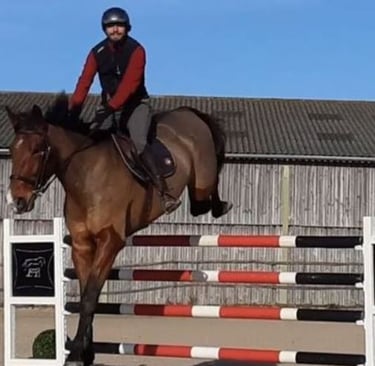 cavalier à l'obstacle
